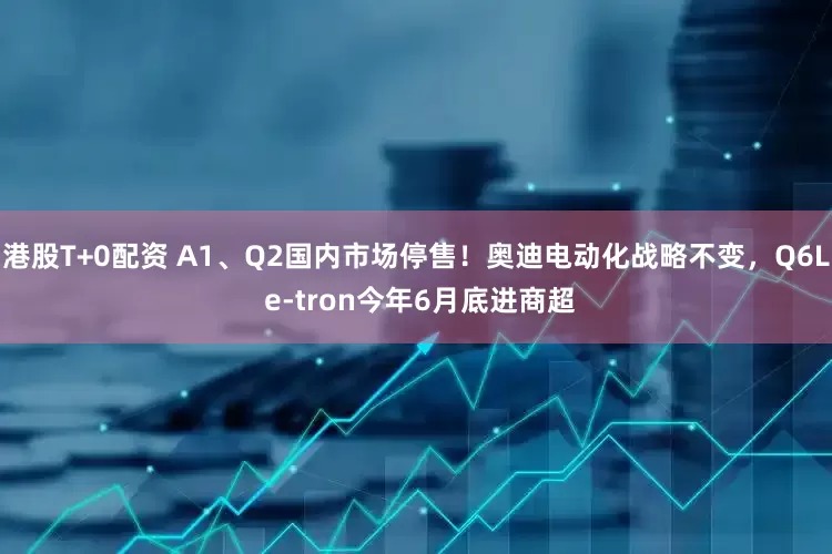 港股T+0配资 A1、Q2国内市场停售！奥迪电动化战略不变，Q6L e-tron今年6月底进商超