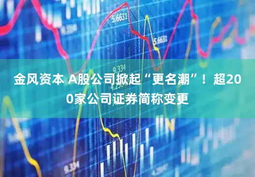 金风资本 A股公司掀起“更名潮”！超200家公司证券简称变更