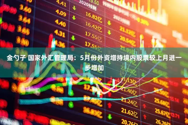 金勺子 国家外汇管理局：5月份外资增持境内股票较上月进一步增加