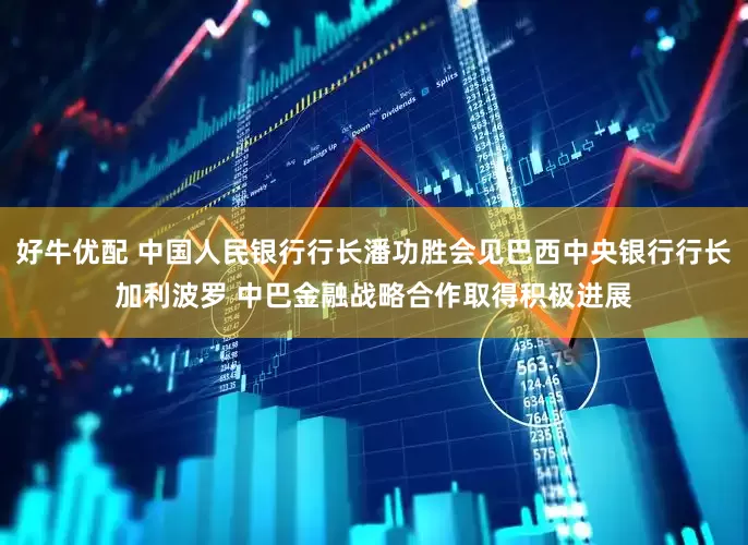 好牛优配 中国人民银行行长潘功胜会见巴西中央银行行长加利波罗 中巴金融战略合作取得积极进展
