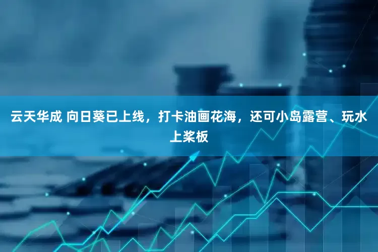 云天华成 向日葵已上线，打卡油画花海，还可小岛露营、玩水上桨板