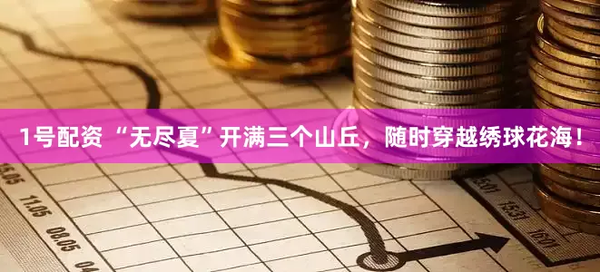 1号配资 “无尽夏”开满三个山丘，随时穿越绣球花海！