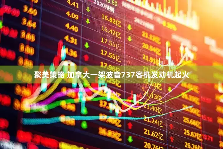 聚美策略 加拿大一架波音737客机发动机起火
