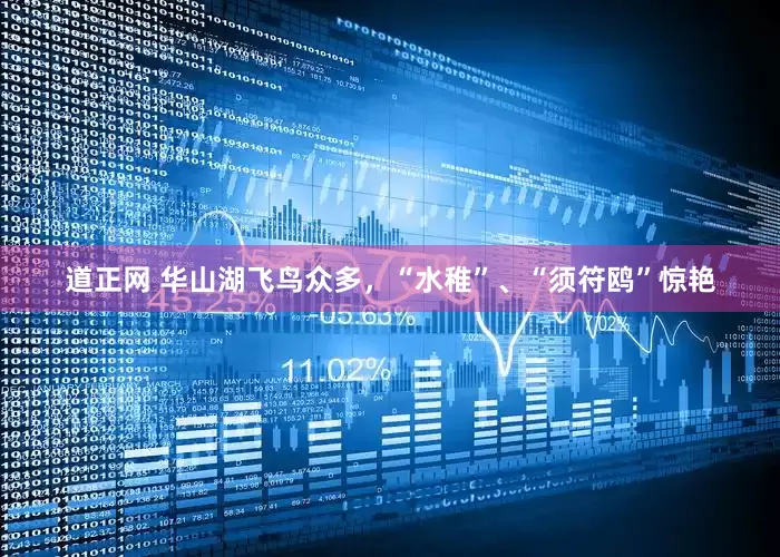 道正网 华山湖飞鸟众多，“水稚”、“须符鸥”惊艳
